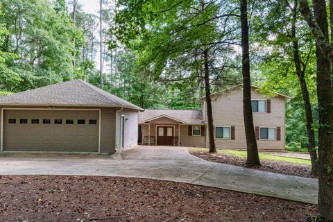 272 Branding Iron Lane Holly Lake Ranch TX 75765