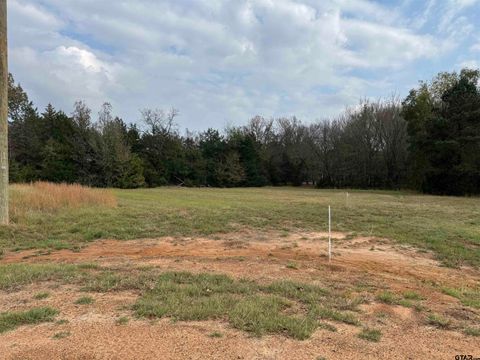 Lot 16 Hunters Hollow Mt Vernon TX 75457