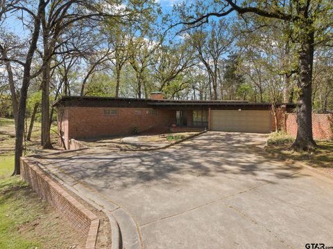 101 Bluebird St Mt Pleasant TX 75455