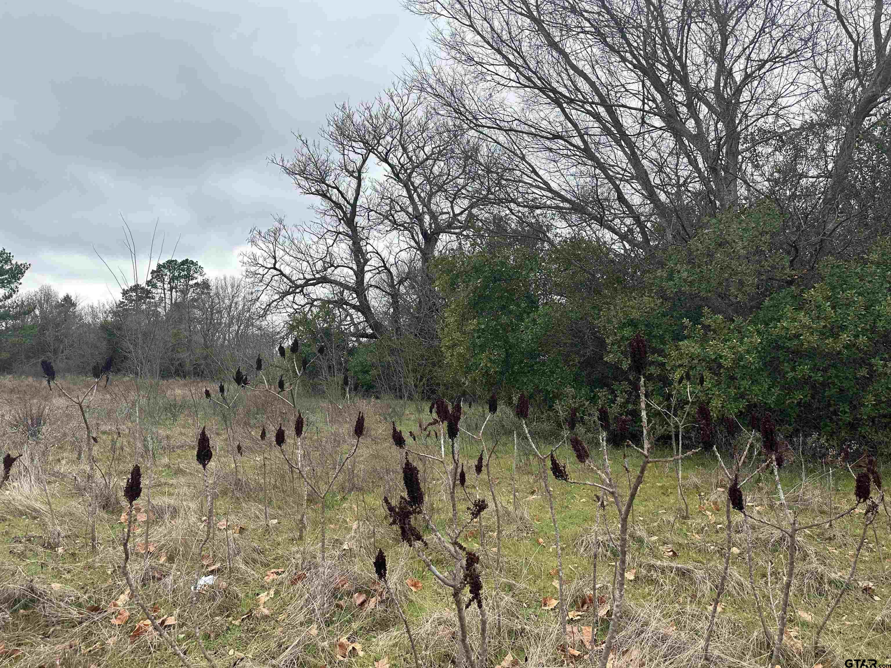 20245 FM 1804 (Hoard Rd)