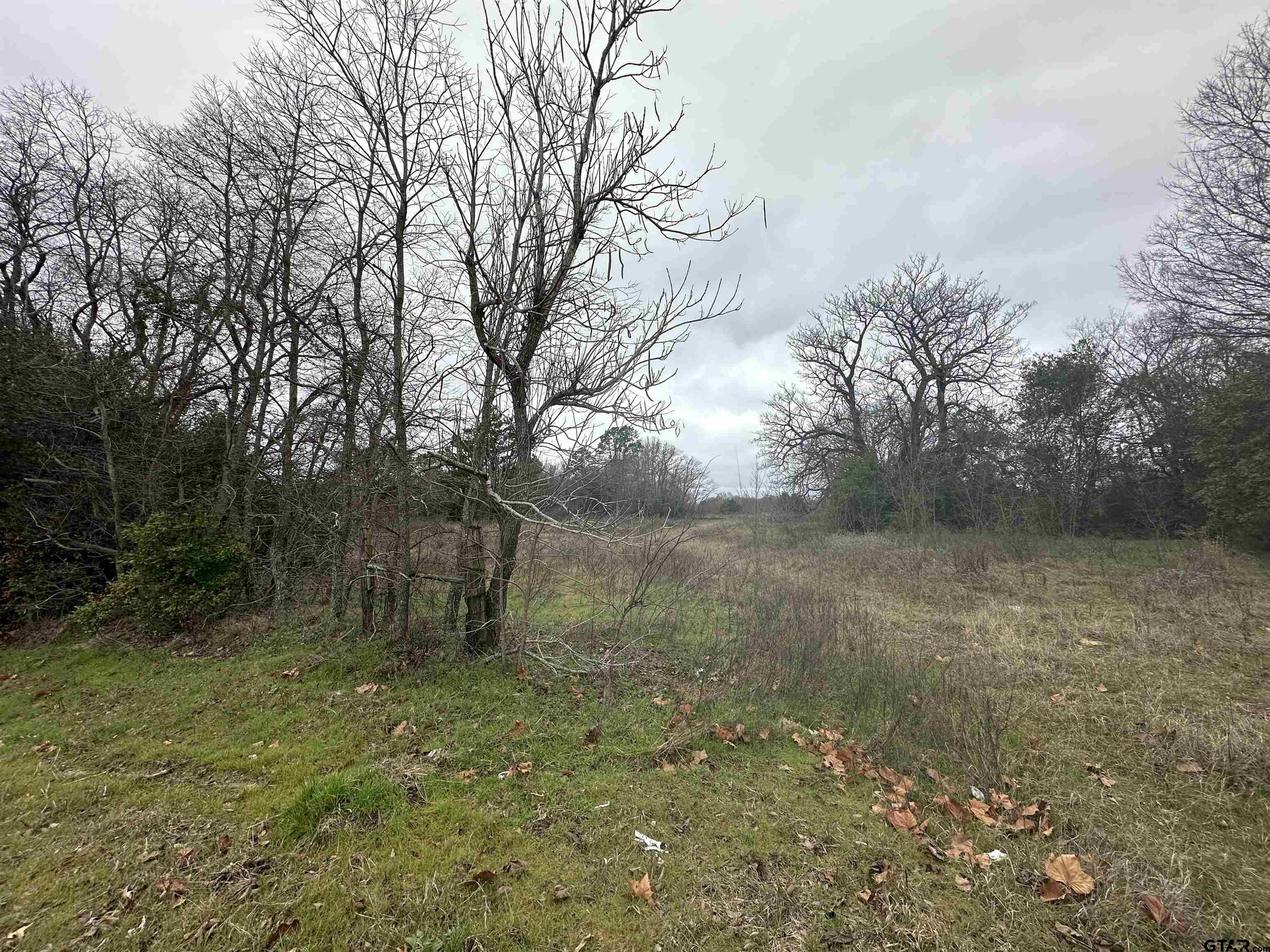20245 FM 1804 (Hoard Rd)