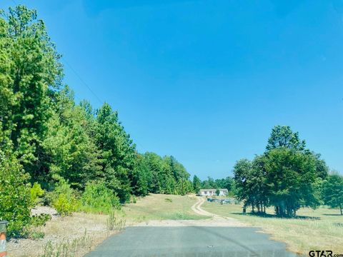 13701 N US Hwy 79 Palestine TX 75801