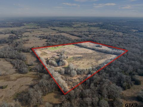 10 County Road 3357 Omaha TX 75571