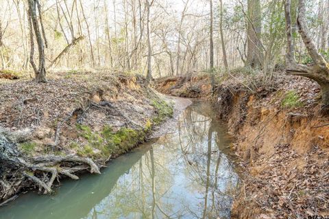 0000 Red Oak Road Marshall TX 75670