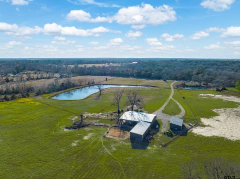 3397 Vz County Road 4412 Ben Wheeler TX 75754