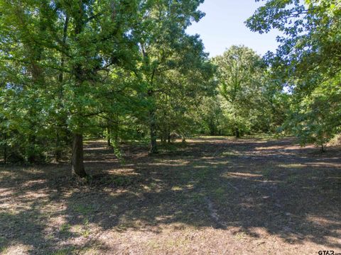 TBD CR 1600 Alba TX 75410