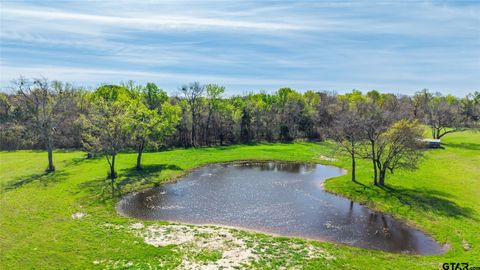 16 Acres FM 2649 Lone Oak TX 75453