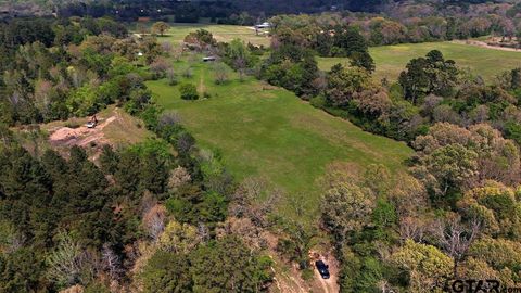 21393 CR 116 Tyler TX 75703