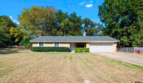 436 Ronnette Tyler TX 75703