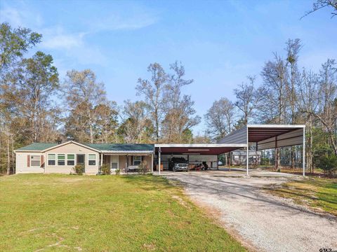 136 W Basil Dr. Diana TX 75640