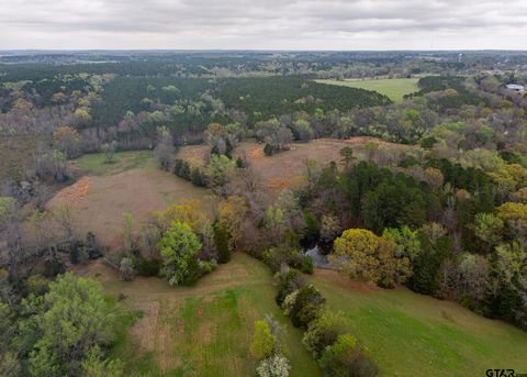 000 County Road 2280 Arp TX 75750