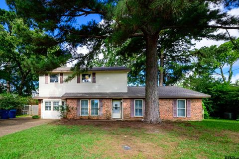 411 Lakeview Street Whitehouse TX 75791