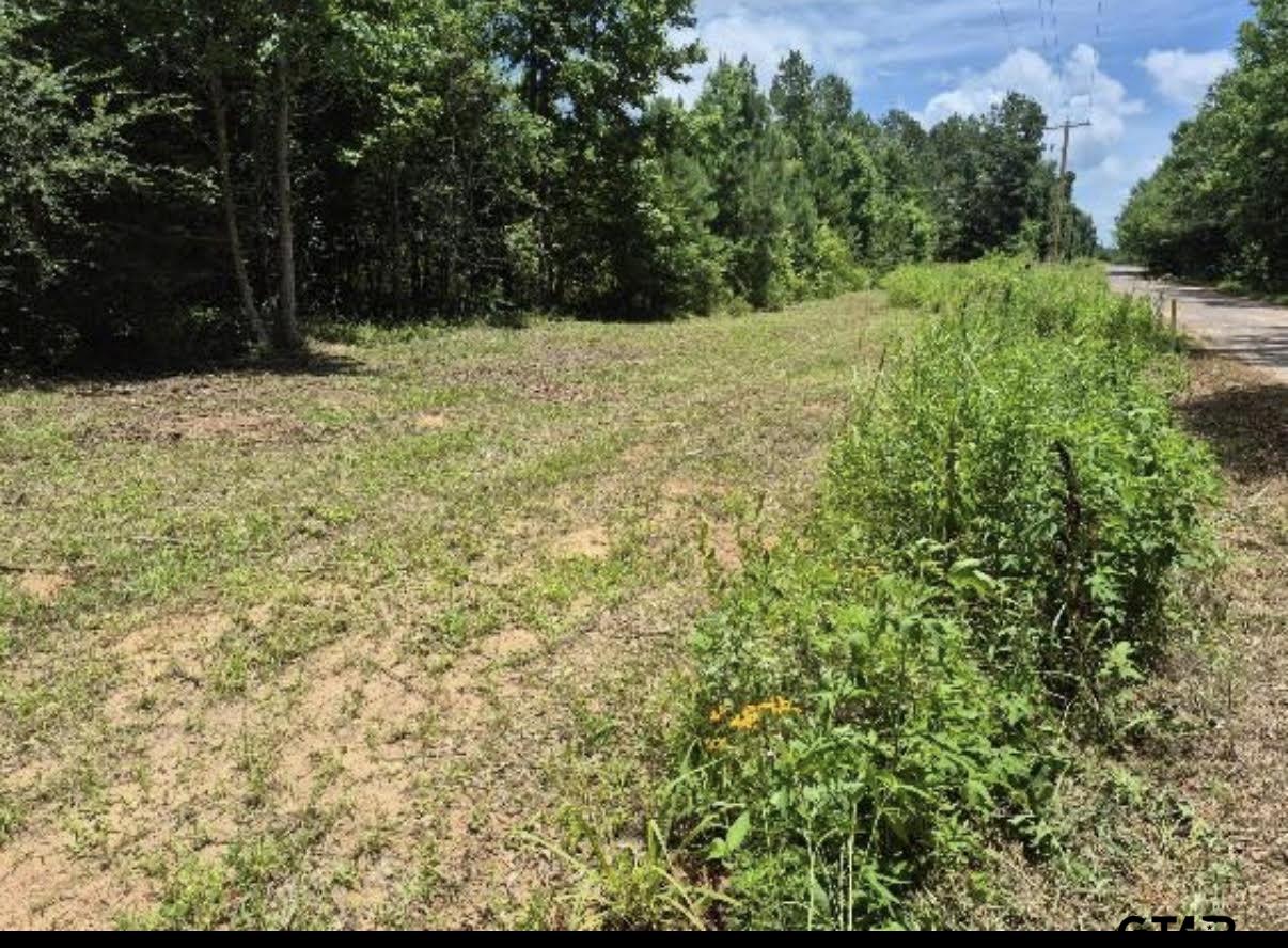 19427 County Road 2153