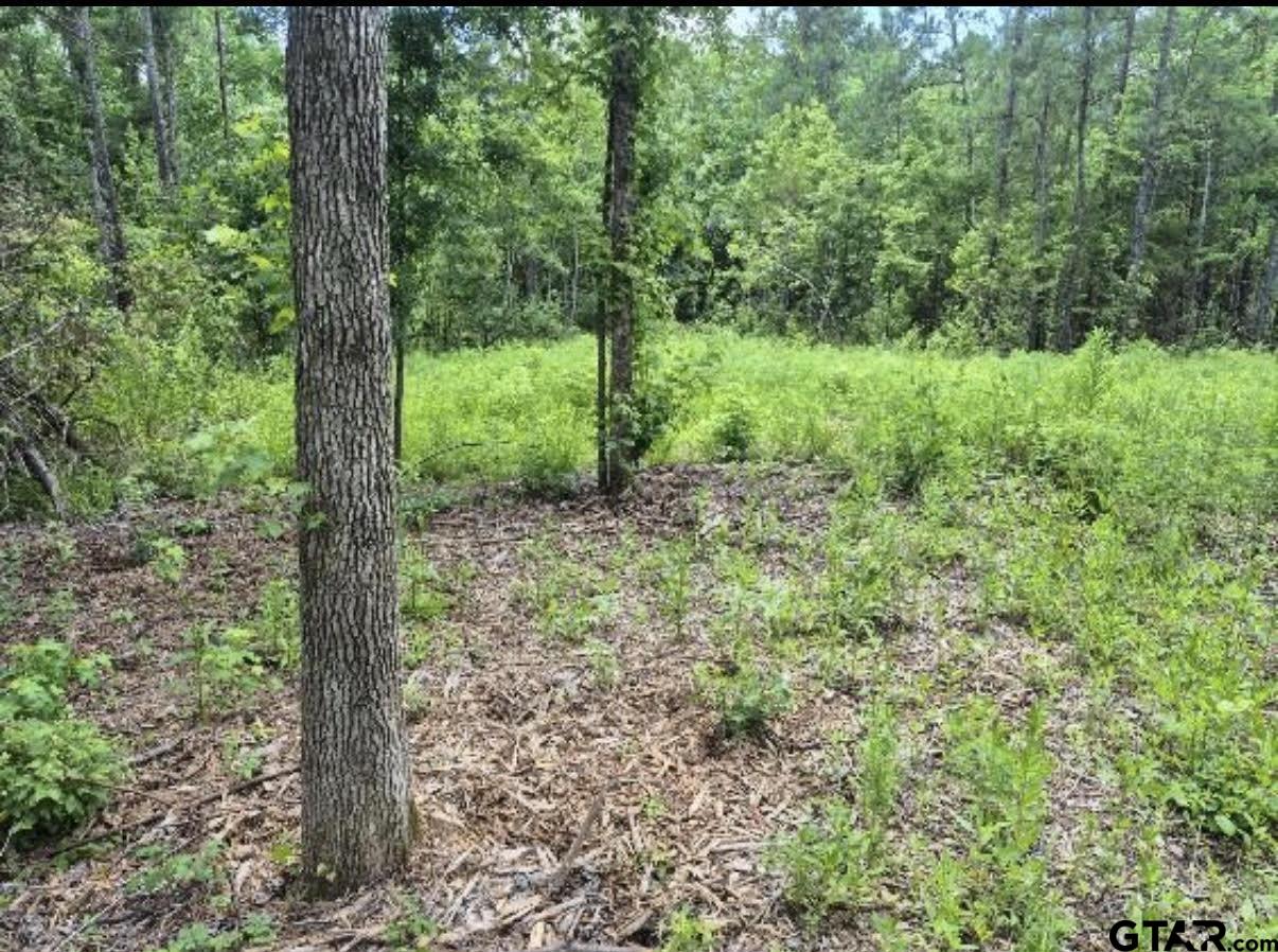 19427 County Road 2153