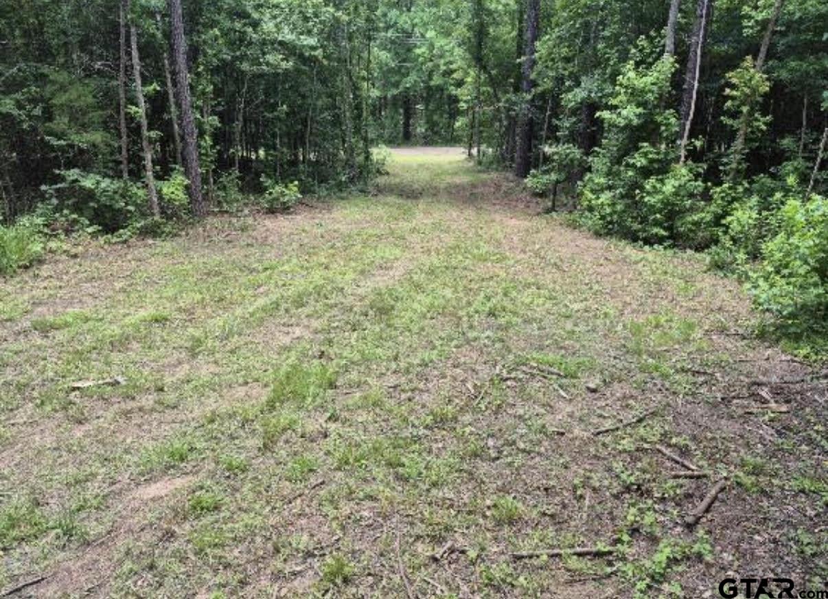 19427 County Road 2153