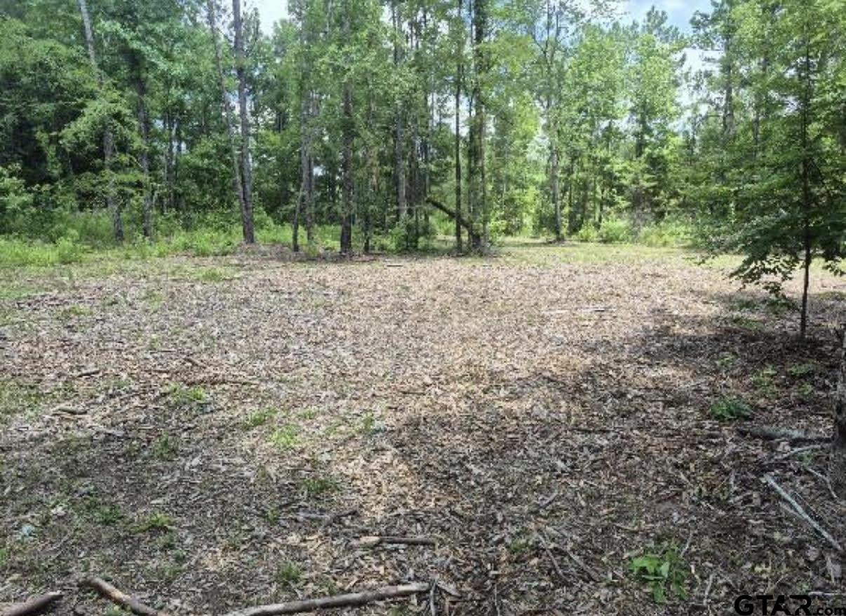 19427 County Road 2153