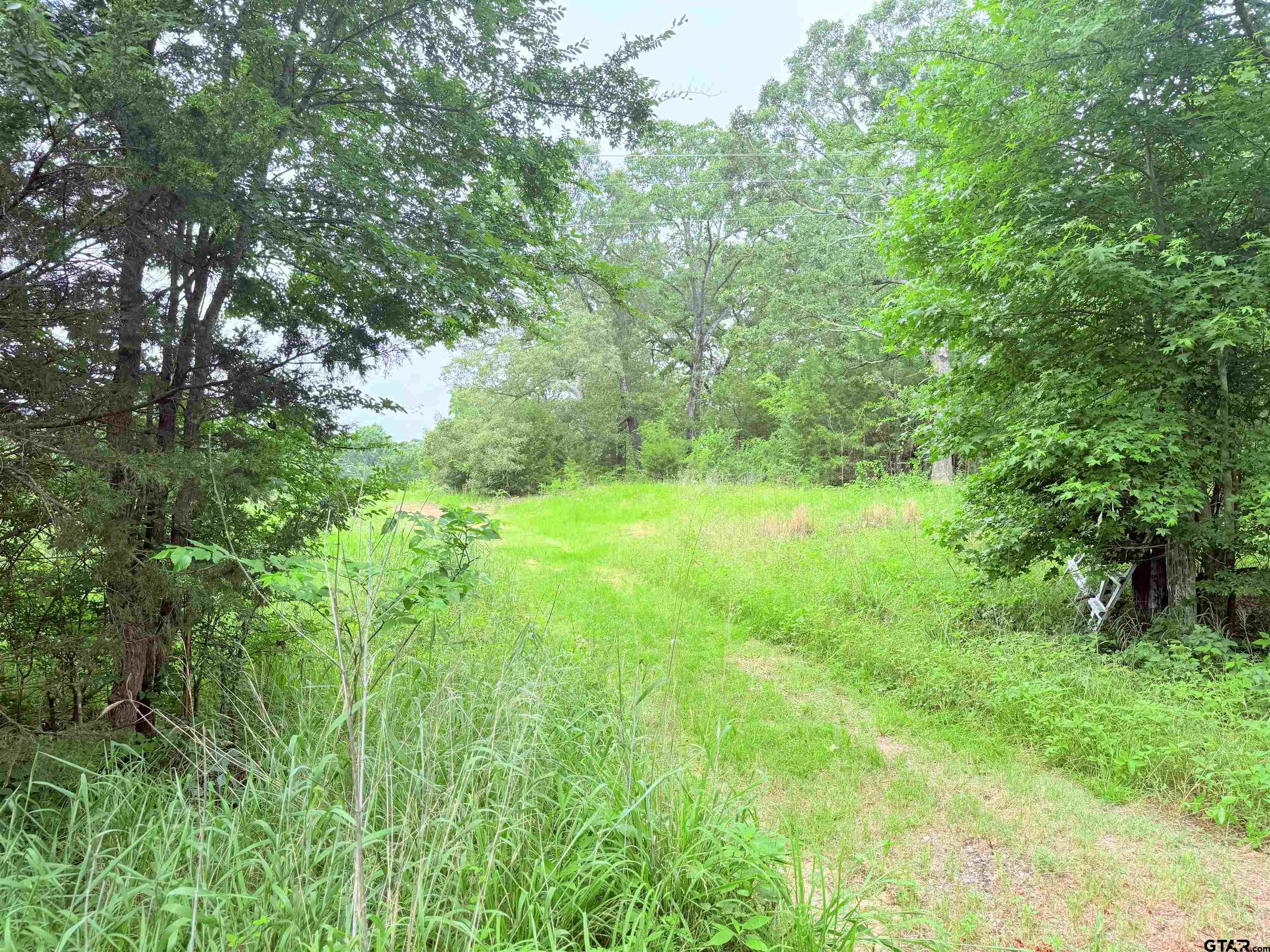 Brownsboro, Texas 75756, United States, ,Land,Pending,133637