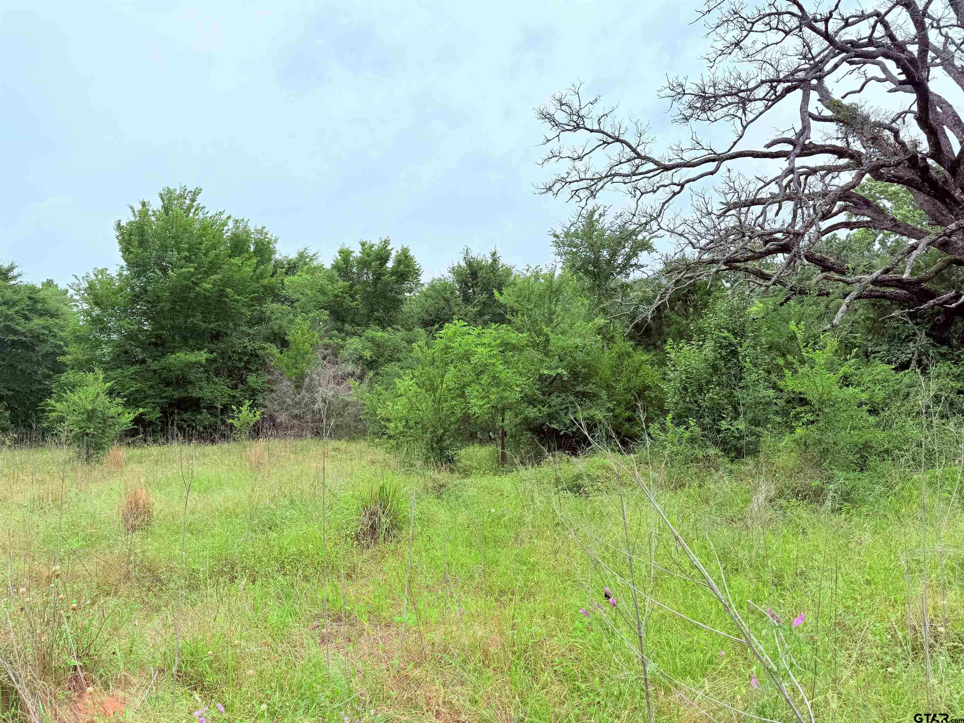 Brownsboro, Texas 75756, United States, ,Land,Pending,133637
