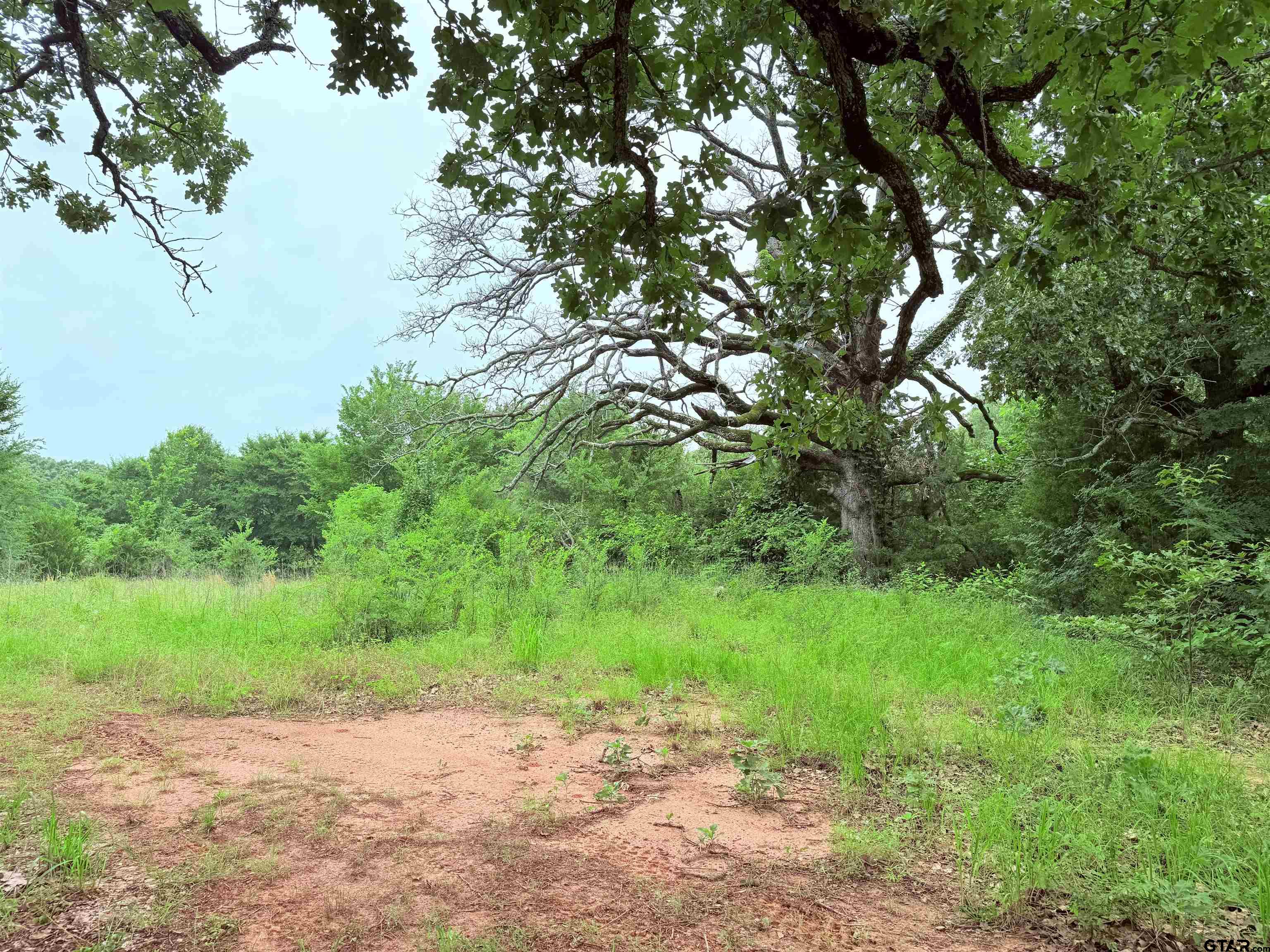 Brownsboro, Texas 75756, United States, ,Land,Pending,133637