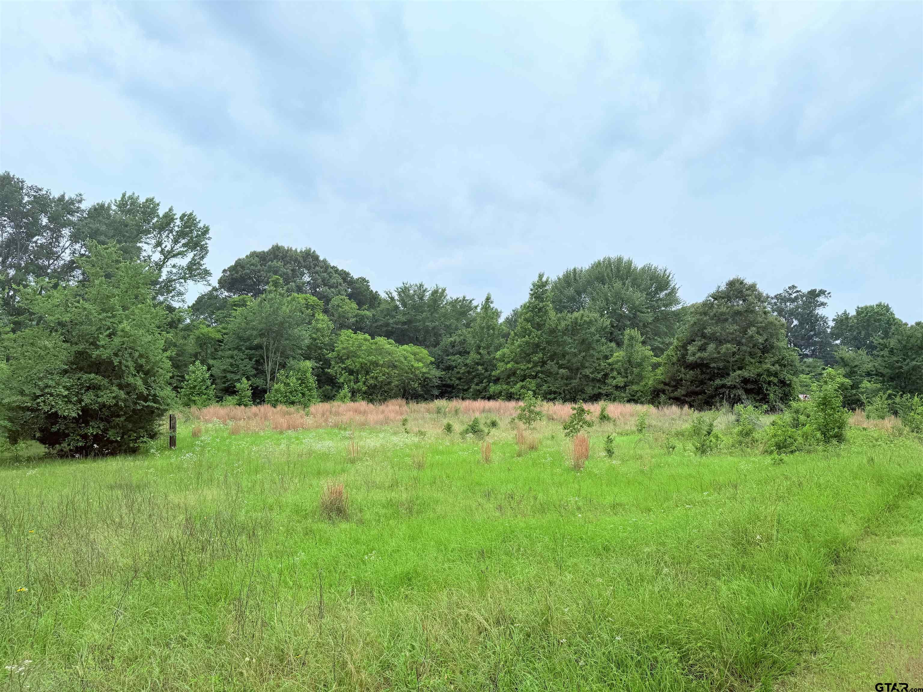 Brownsboro, Texas 75756, United States, ,Land,Pending,133637