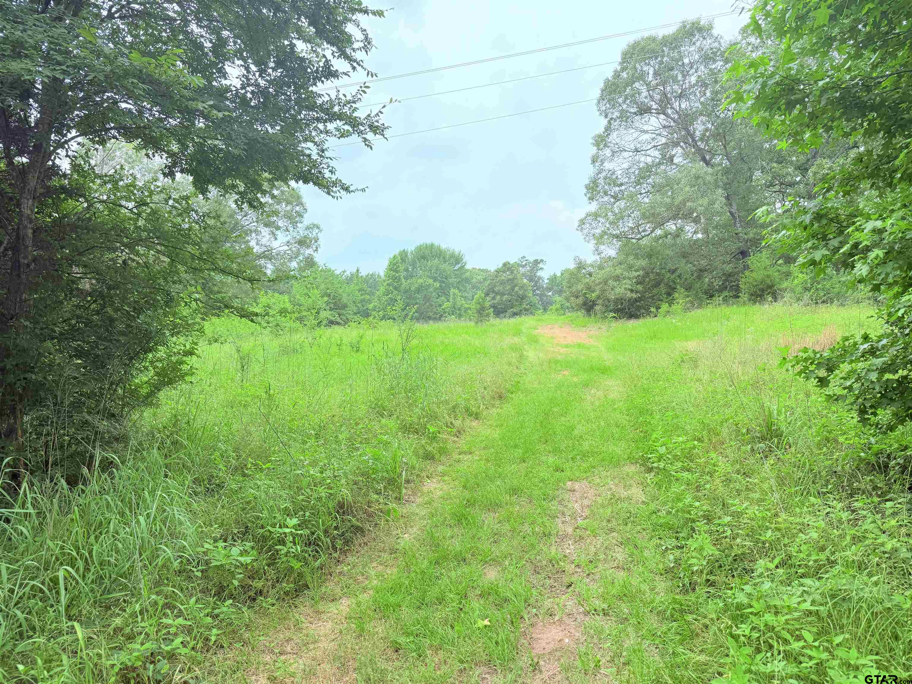 Brownsboro, Texas 75756, United States, ,Land,Pending,133637