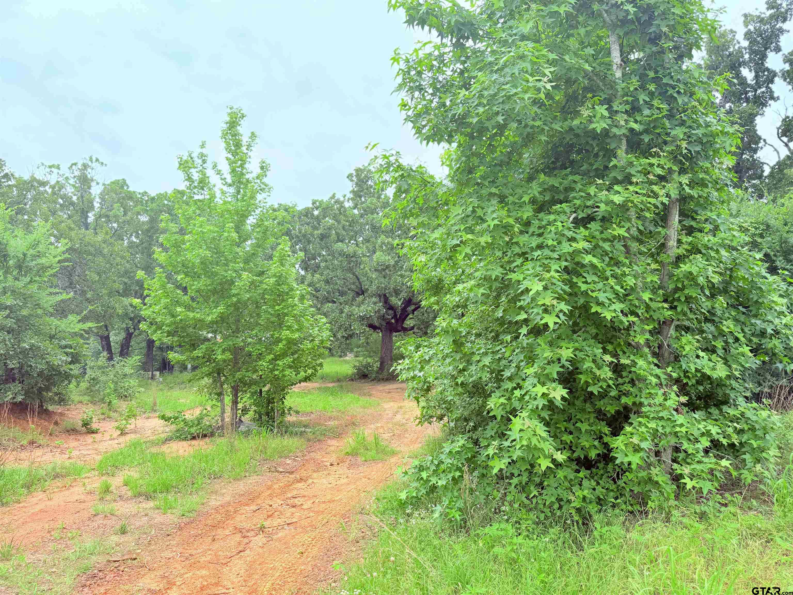 Brownsboro, Texas 75756, United States, ,Land,Pending,133637