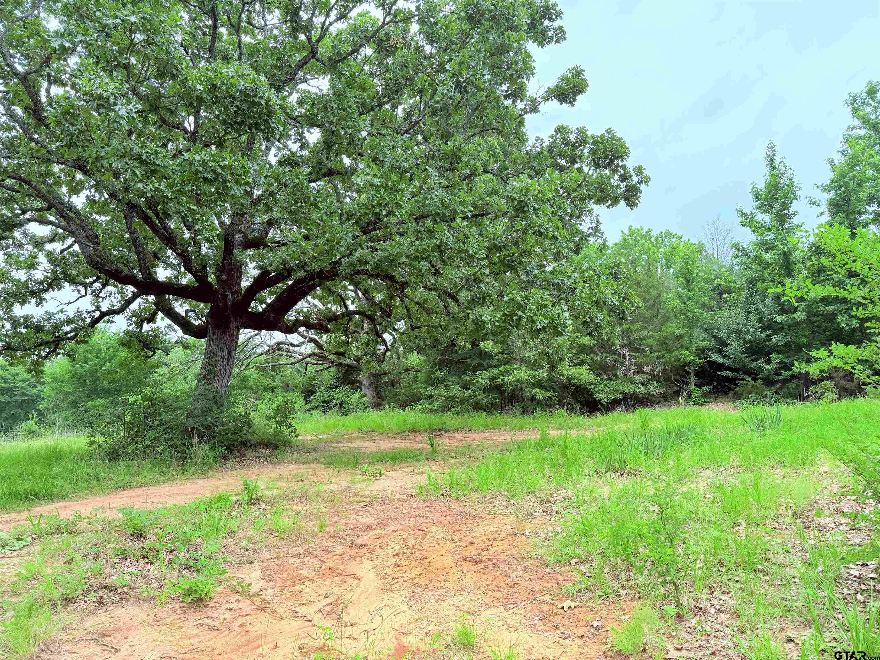 Brownsboro, Texas 75756, United States, ,Land,Pending,133637