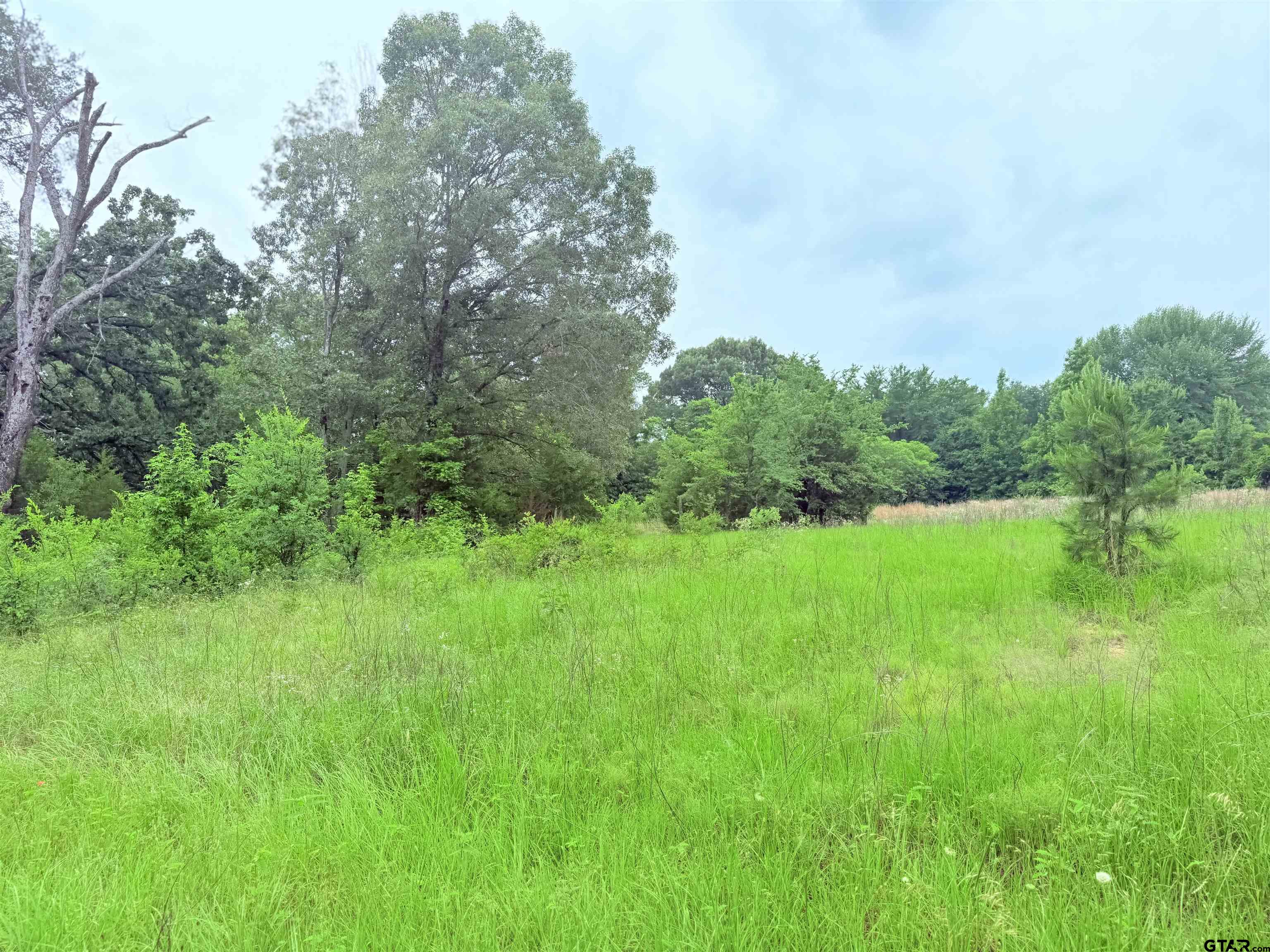Brownsboro, Texas 75756, United States, ,Land,Pending,133637