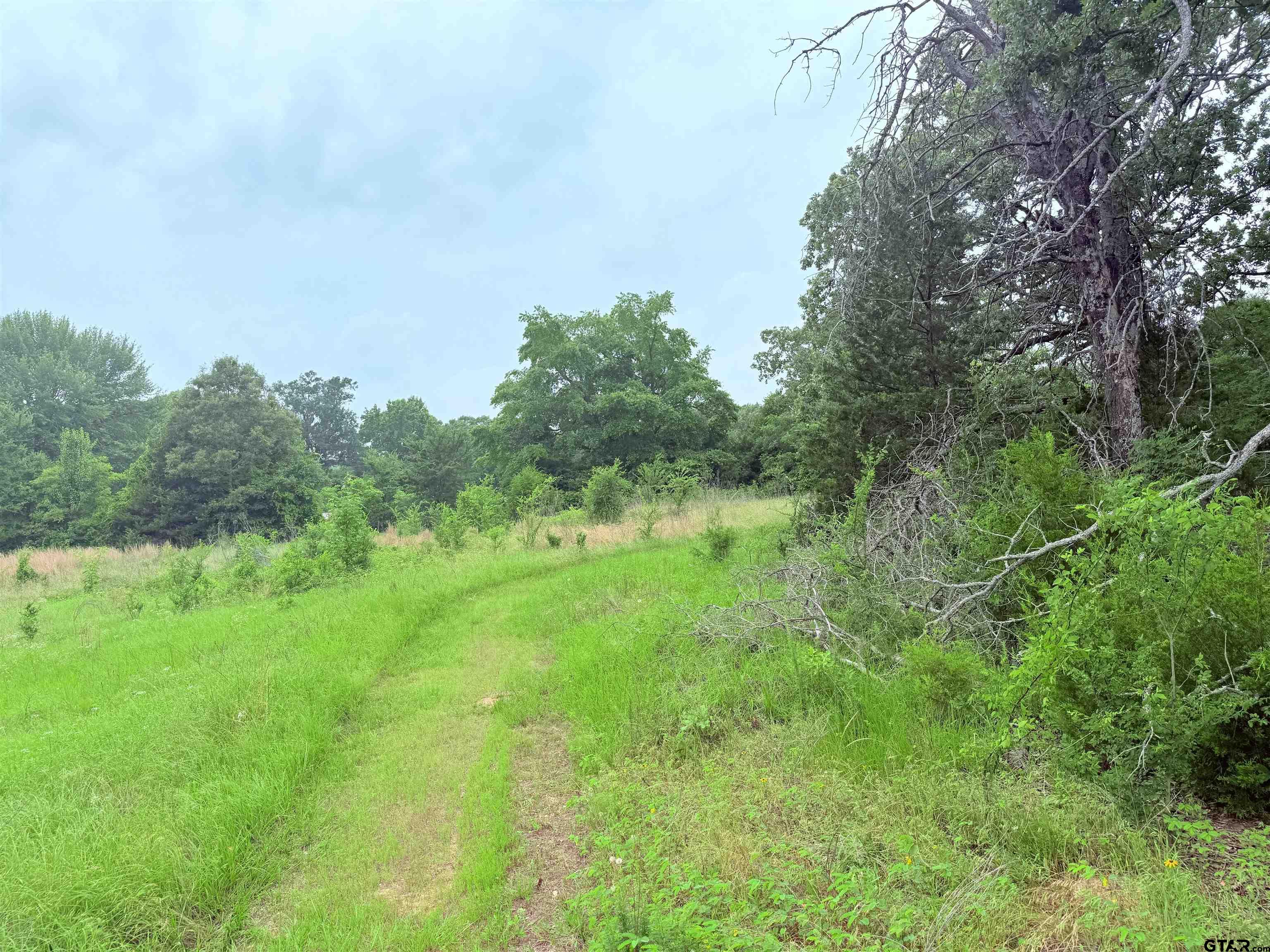 Brownsboro, Texas 75756, United States, ,Land,Pending,133637