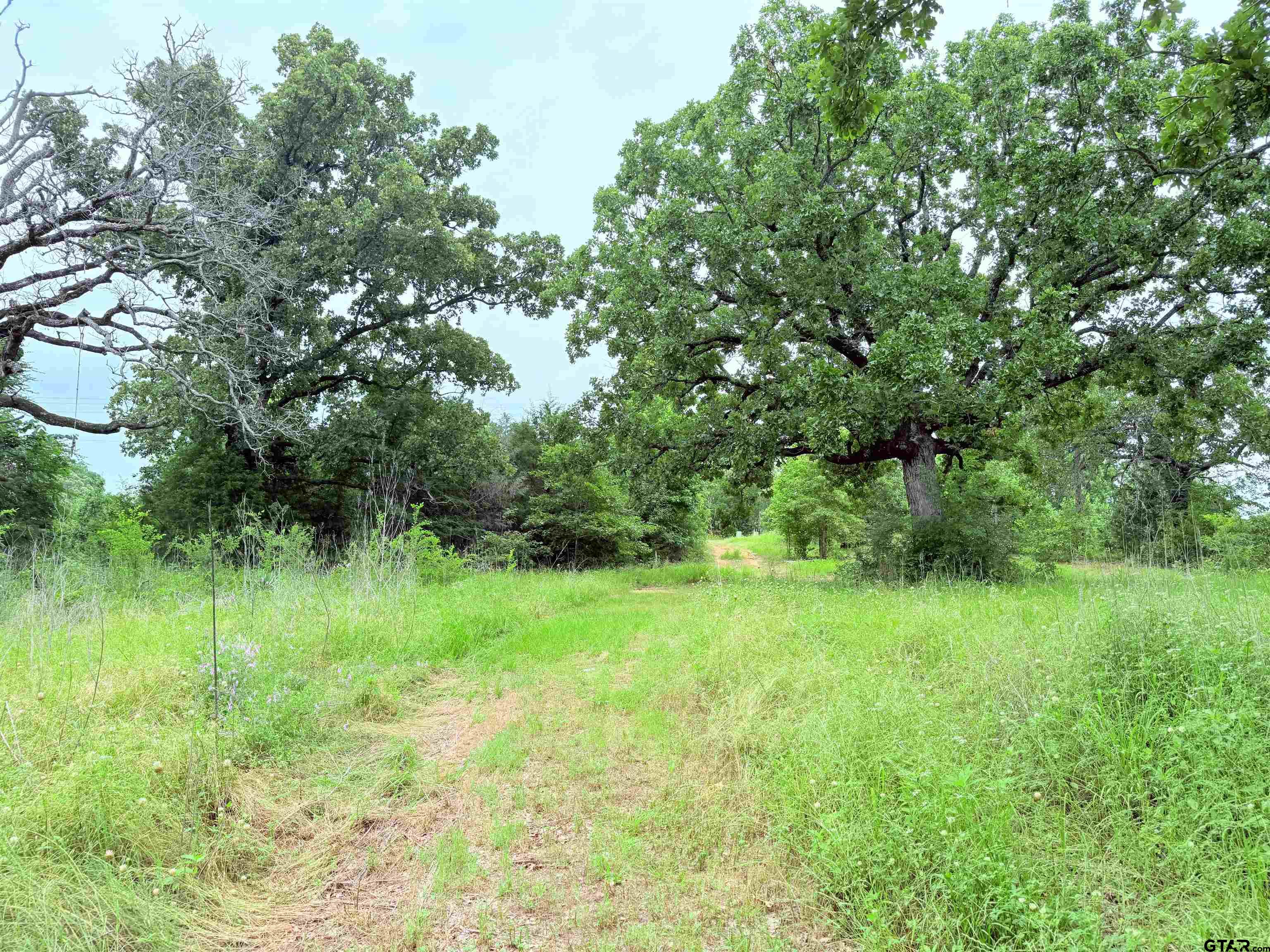 Brownsboro, Texas 75756, United States, ,Land,Pending,133637