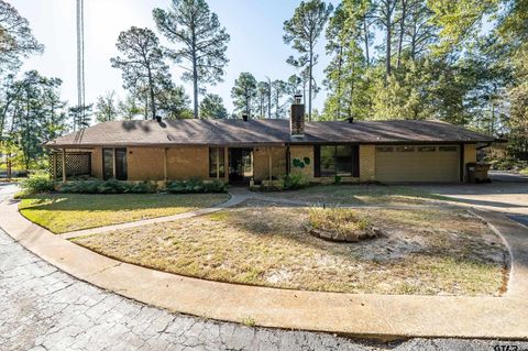 331 Bent Horseshoe Lane Holly Lake Ranch TX 75765