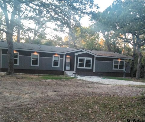 22847 CR 455 Mineola TX 75773