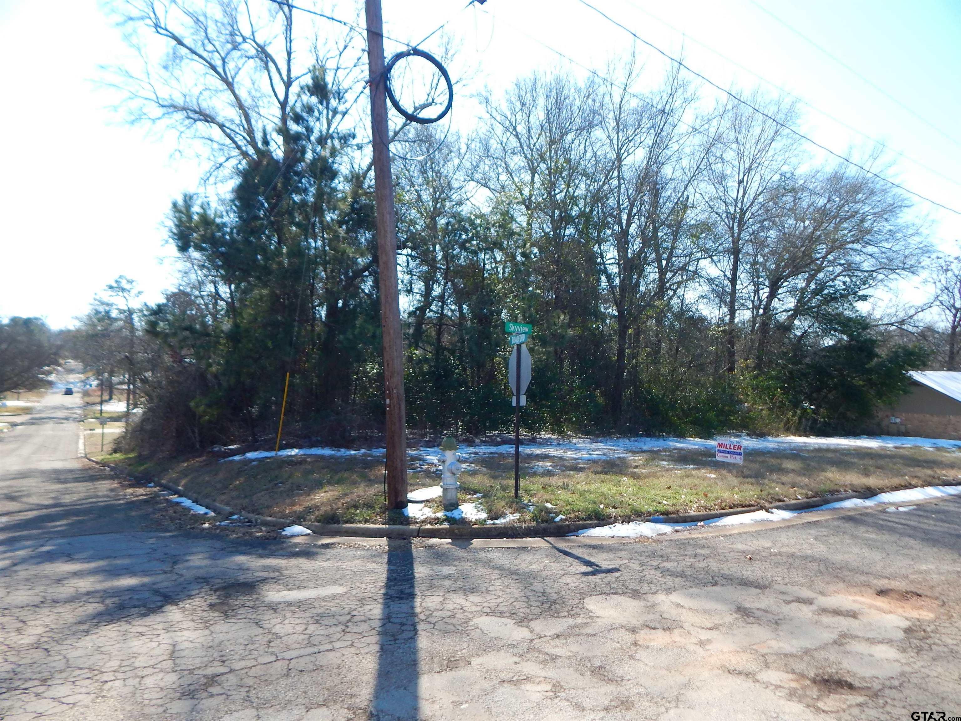 TBD LOT 3 SKYVIEW DR