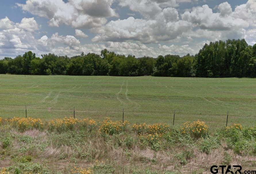 Photo 1 of 2 — 13365 FM 768, Jacksonville, TX 75766