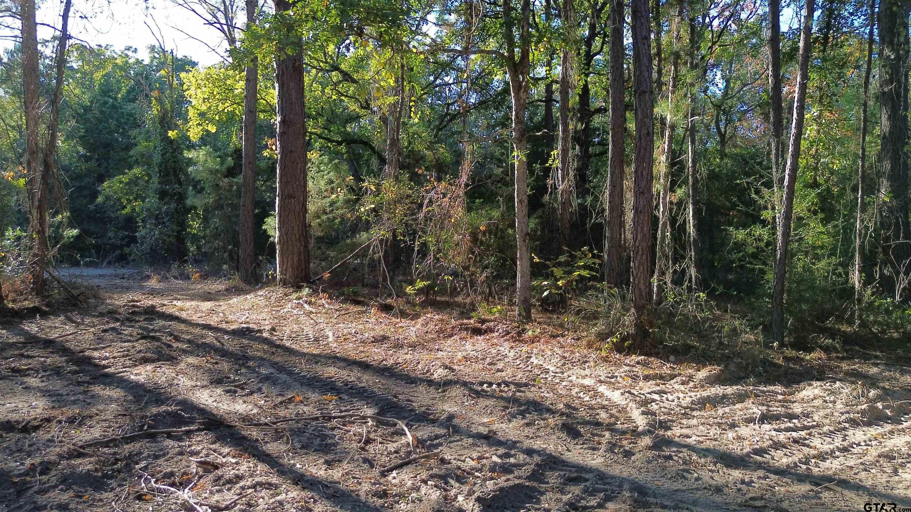 Photo 1 of 16 — 000 CR 4330, LaRue, TX 75770
