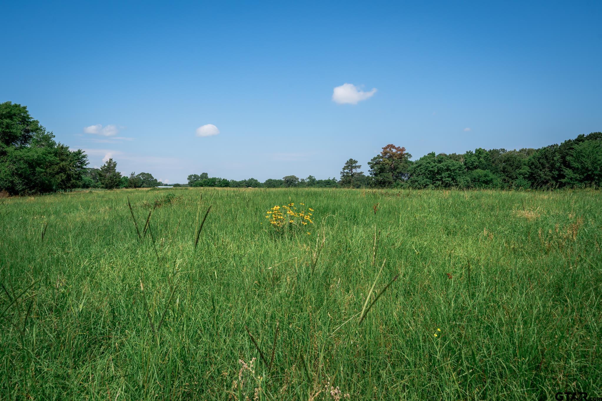 3250 FM 22 - 82.91 acres