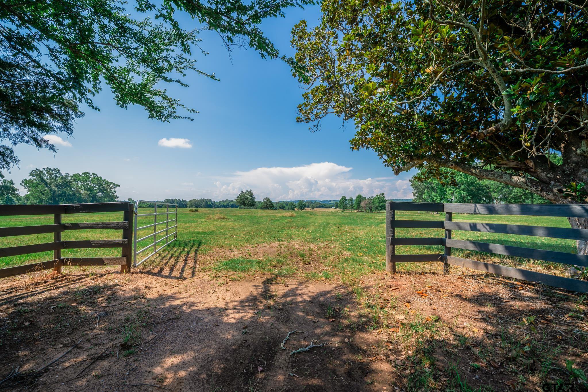 3250 FM 22 - 82.91 acres