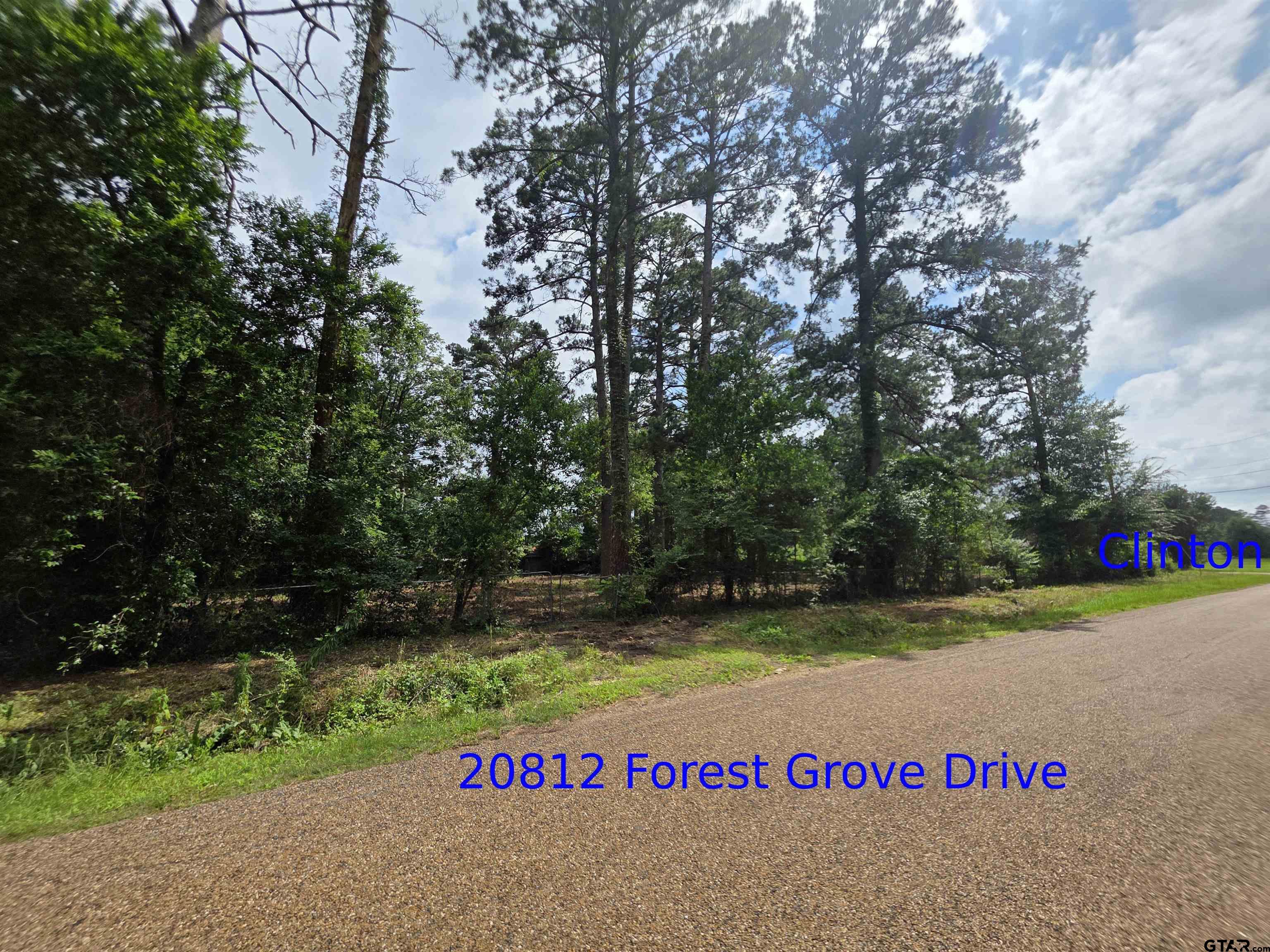 20812 Forest Grove Drive