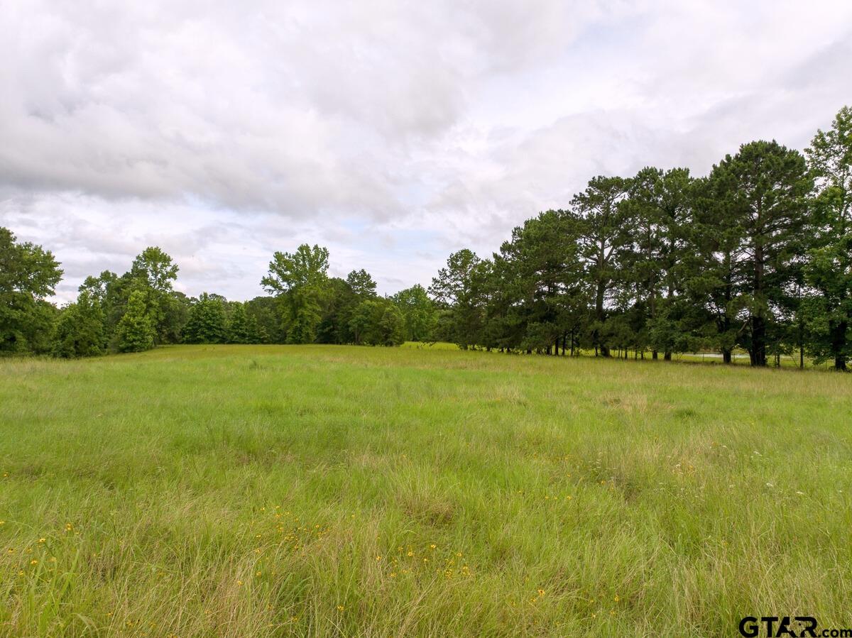2 County Road 1224