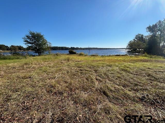 Mineola, Texas 75773, United States, 2 Bedrooms Bedrooms, ,1 BathroomBathrooms,Residential,Pending,38176