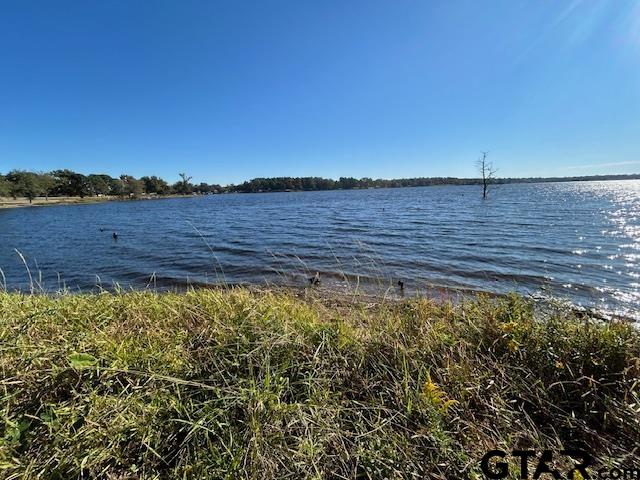 Mineola, Texas 75773, United States, 2 Bedrooms Bedrooms, ,1 BathroomBathrooms,Residential,Pending,38176