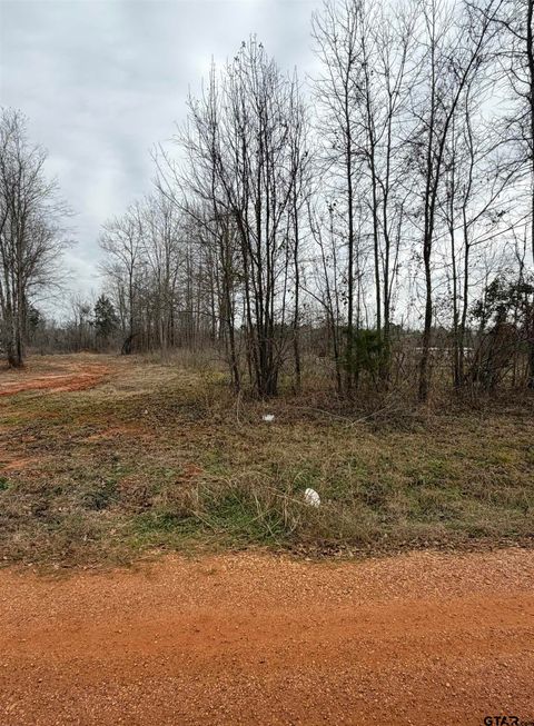 (LOT 2) SUNNY MEADOWS BLVD Tyler TX 75708