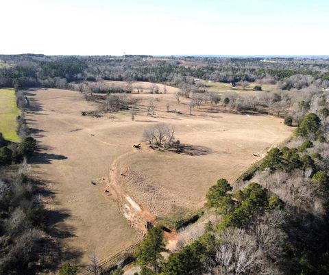 1155 CR 1615 Jacksonville TX 75766