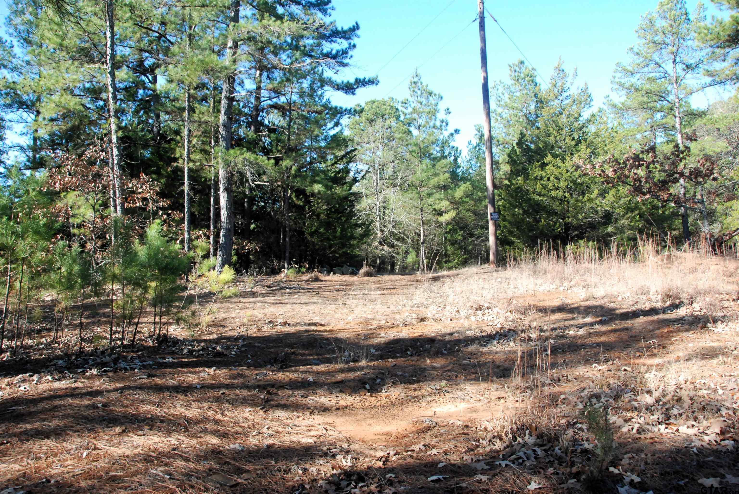 000 Country Road 468