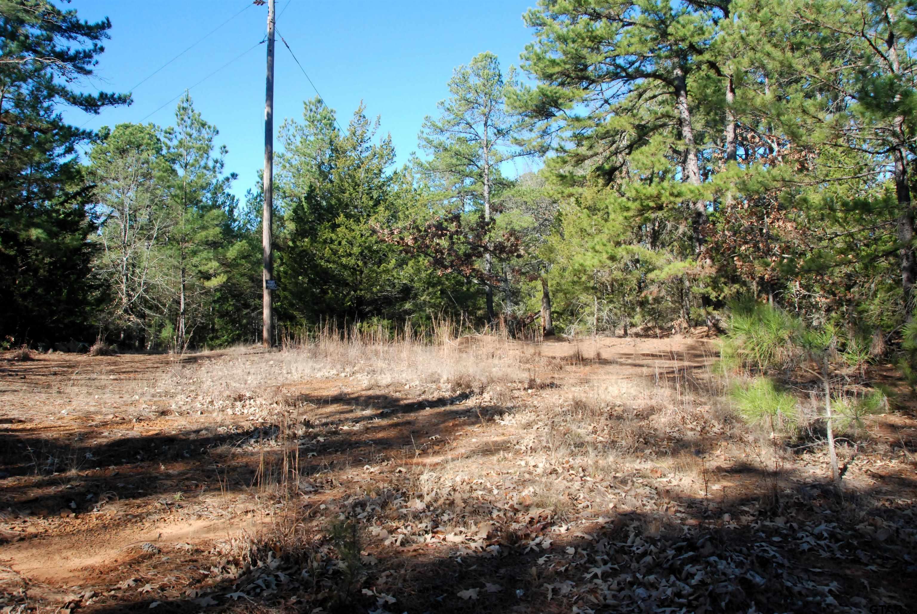 000 Country Road 468