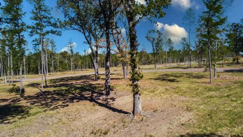 15483 Aniston Ln - (LOT 1) Flint TX 75762