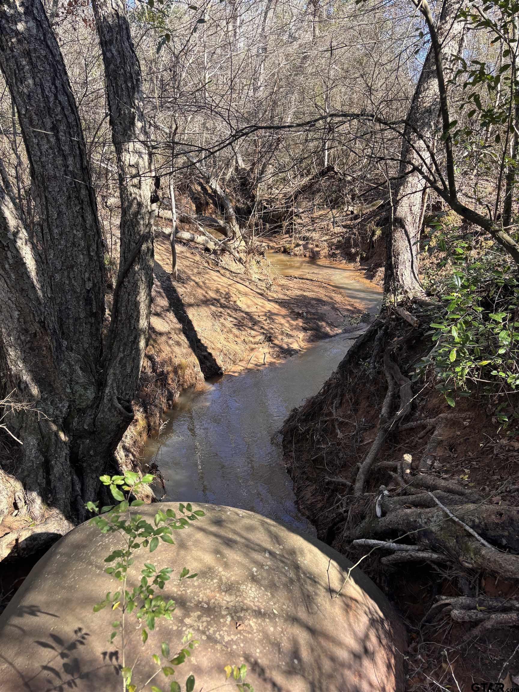 420 County Road 2201