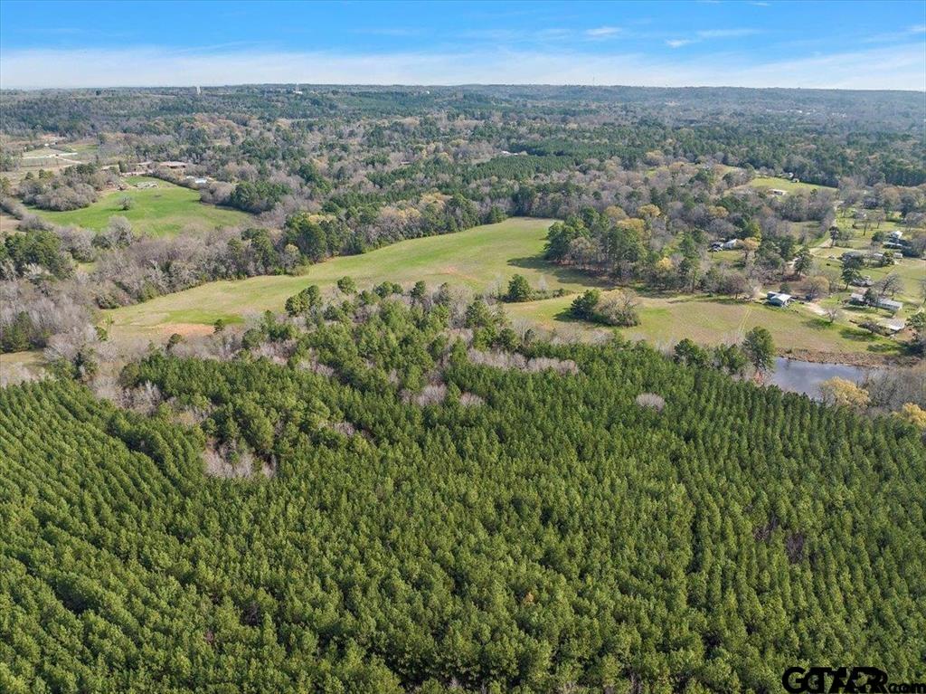 420 County Road 2201
