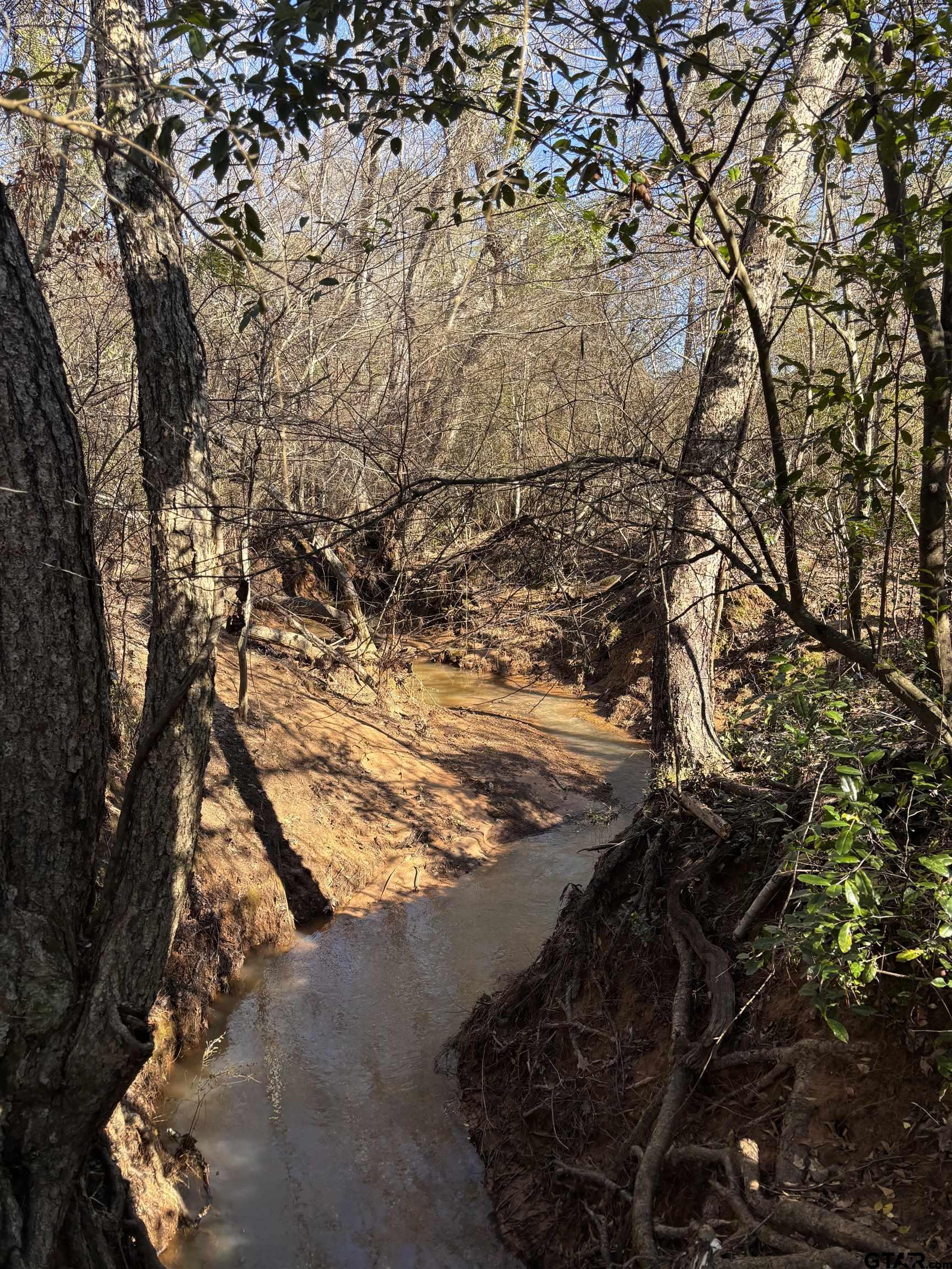 420 County Road 2201