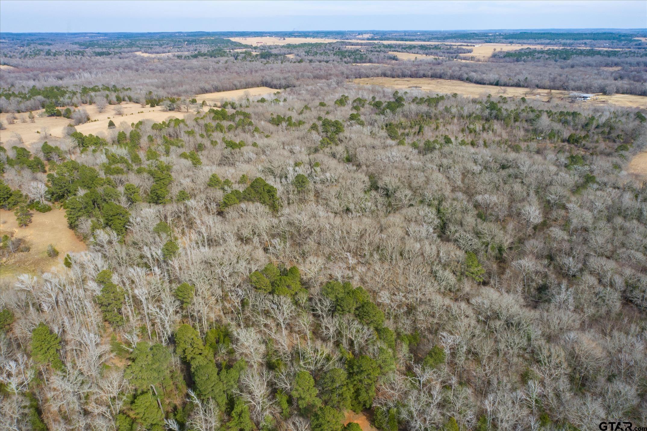 TBD County Road 4917 - Photo 3